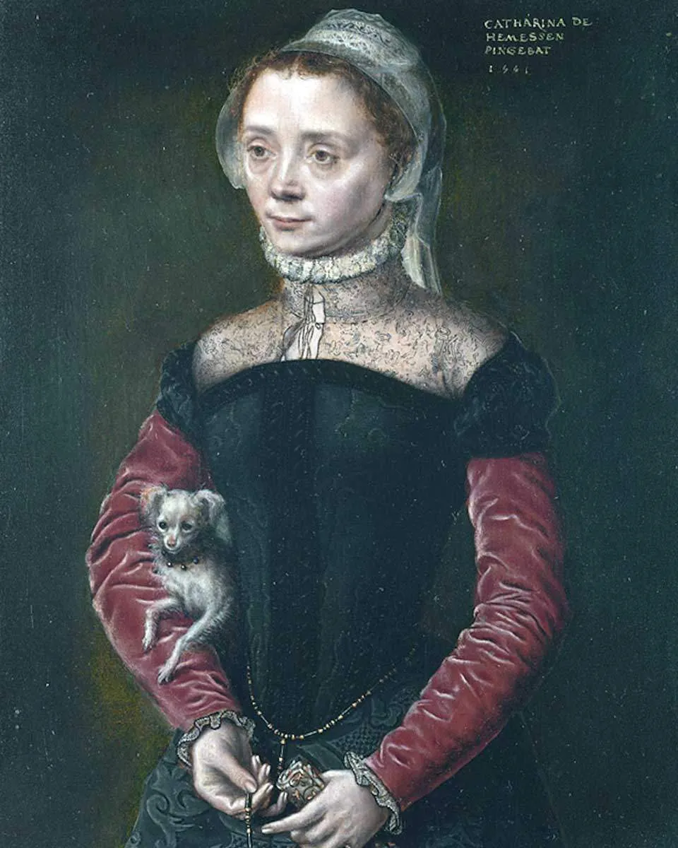 catharina-van-hemessen-portrait-of-a-lad