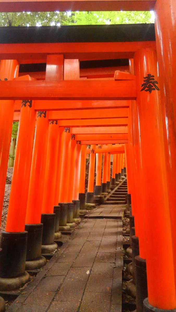 fushimi-inari-shrine.jpg