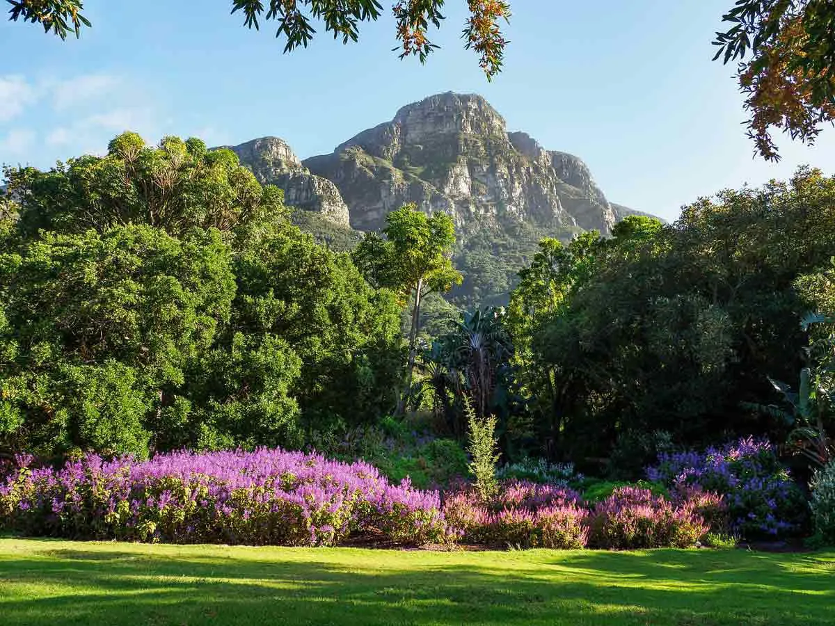 kirstenbosch-botanical-gardens.jpg