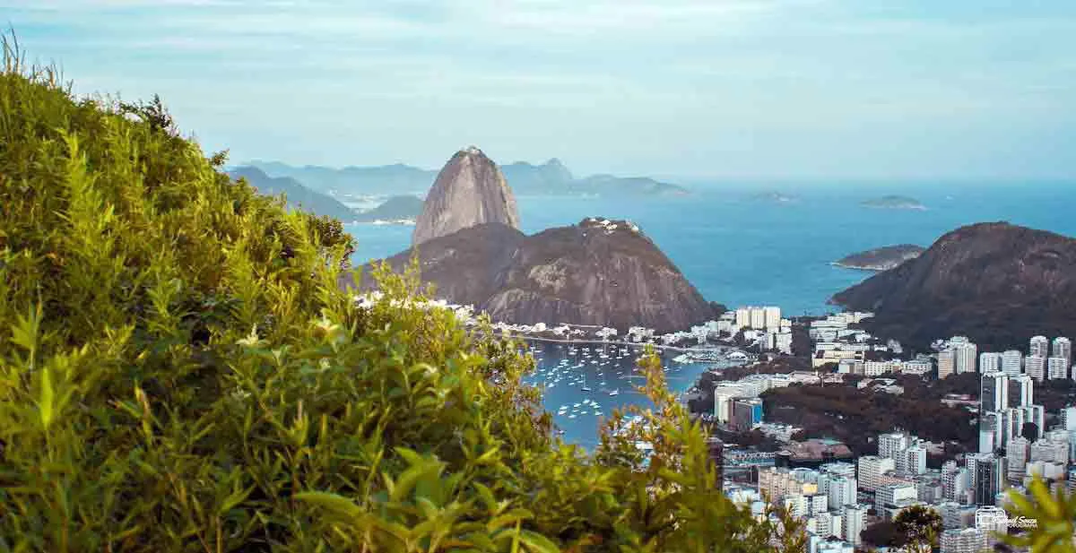 rio-de-janeiro-view.jpg