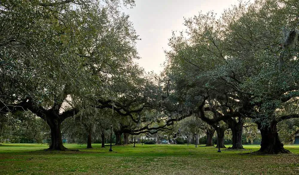 audubon-park-new-orleans.jpg