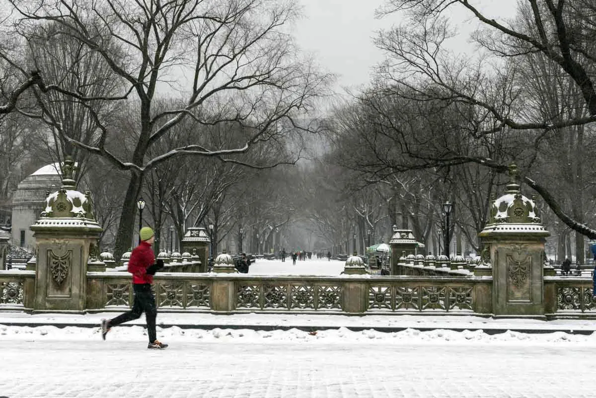 central-park-jogger.jpg