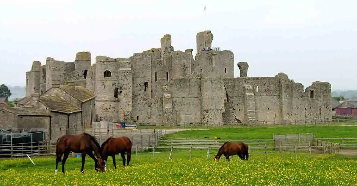 middleham-english-castle-horses.jpg