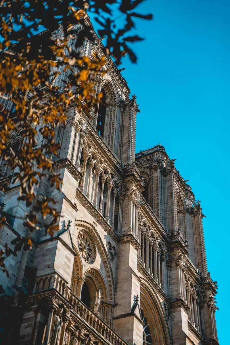 notre-dame-de-paris-autumn-leaves.jpg