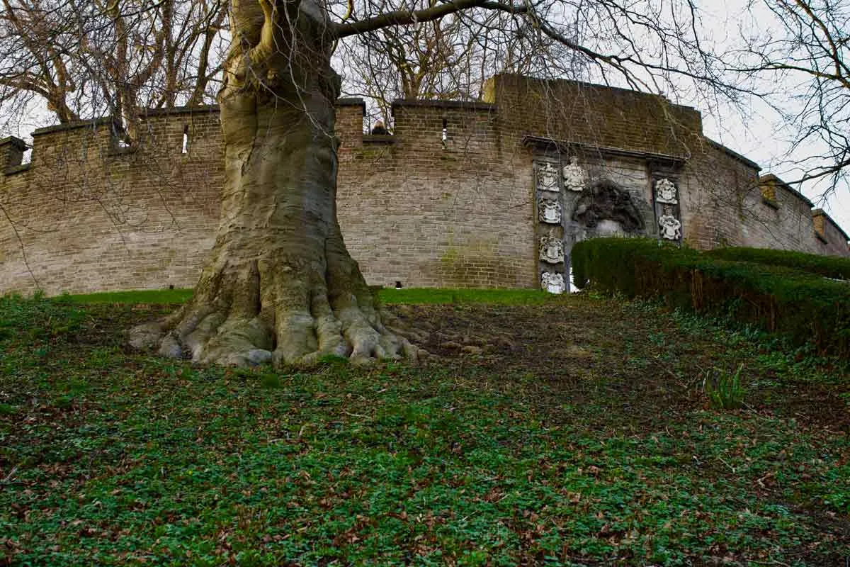 de-burcht-leiden.jpg