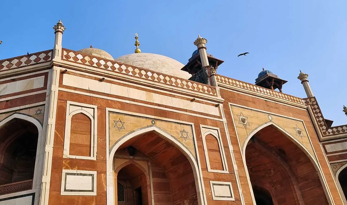 birds-humayuns-tomb.jpg