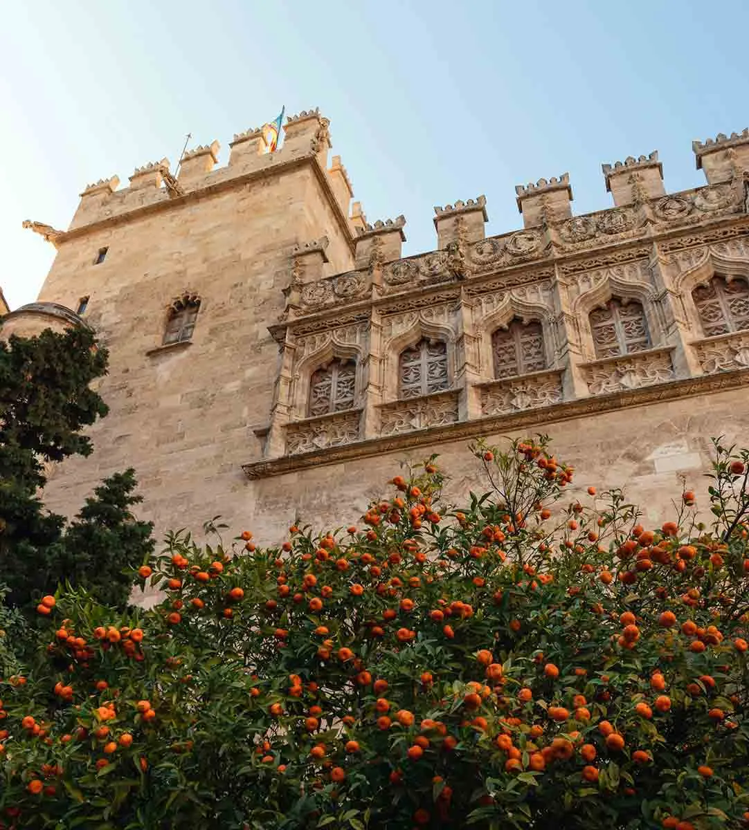 lonja-valencia-architecture-oranges.jpg