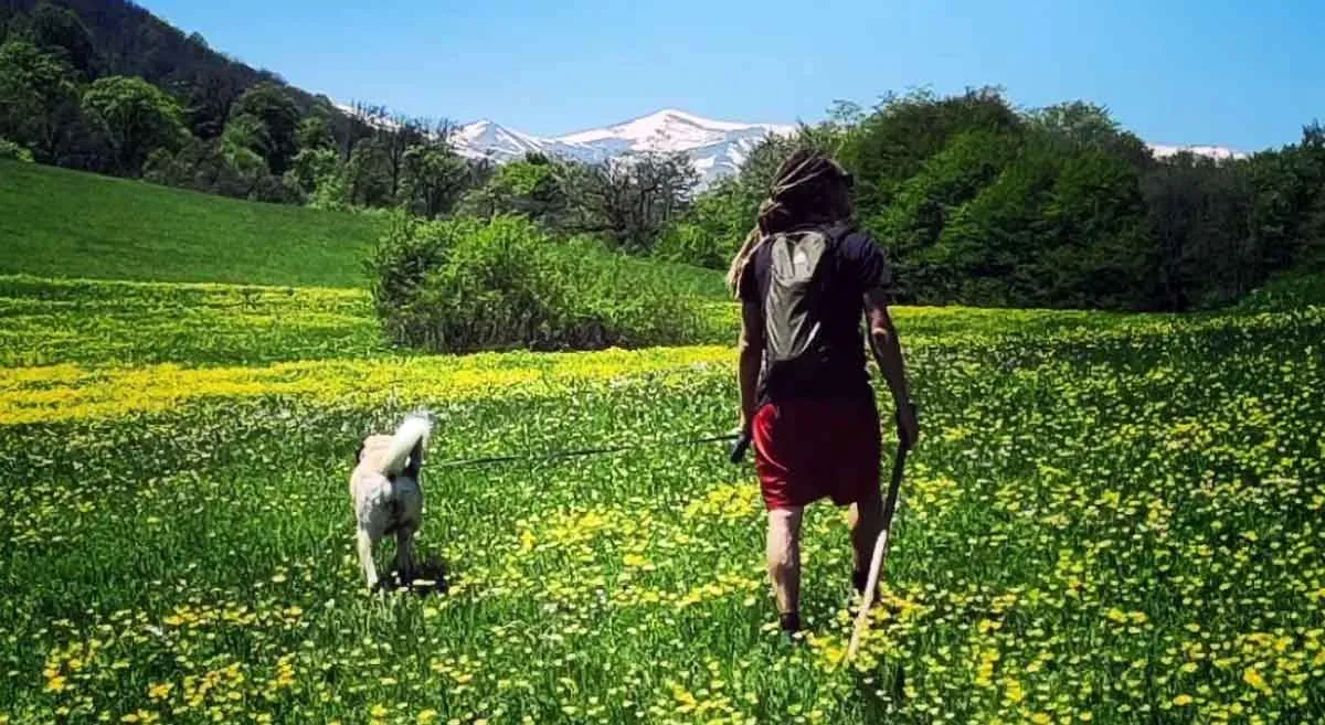 diljan-national-park-armenia.jpg