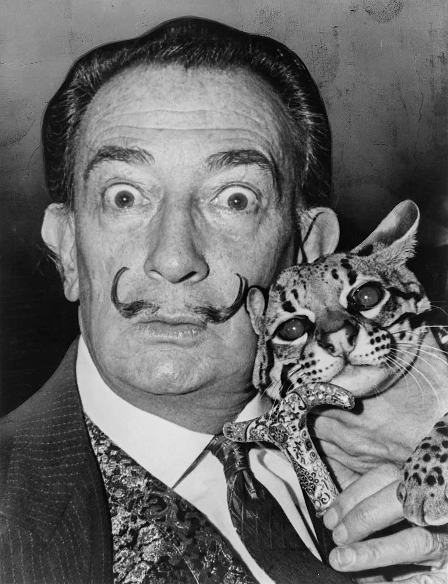 salvador-dali-babou-the-ocelot.jpg