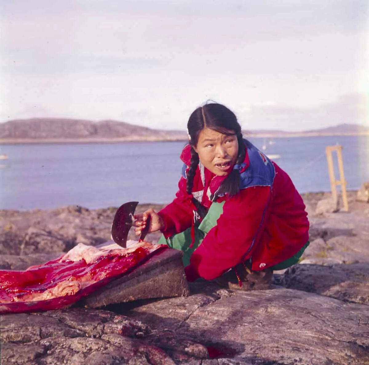 inuit-woman-cleaning-seal-skin.jpg