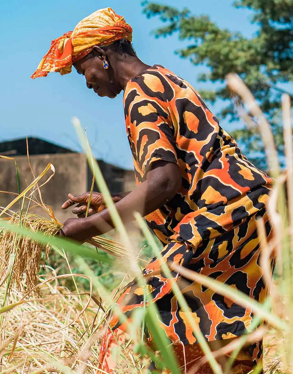 sengalese woman rice field