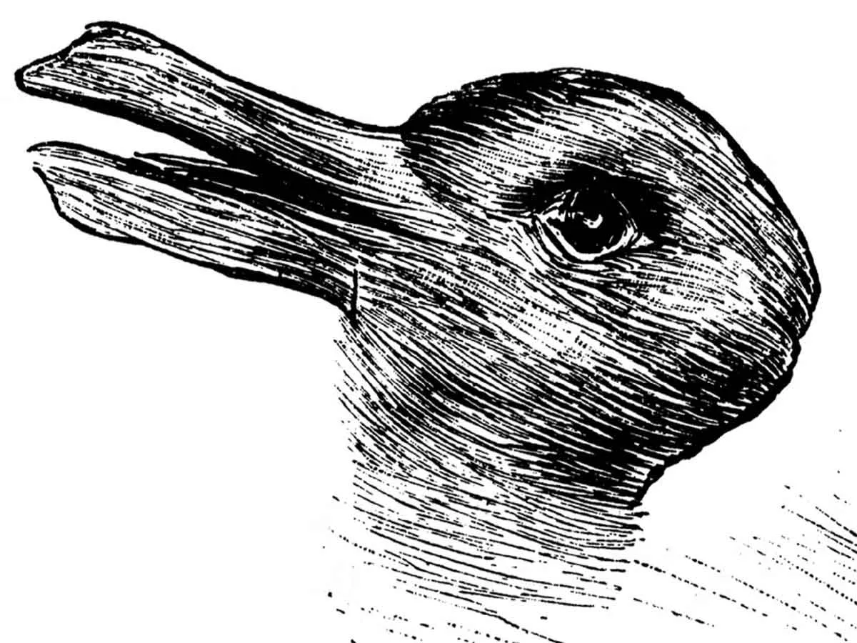 joseph jastrow rabbit duck drawing