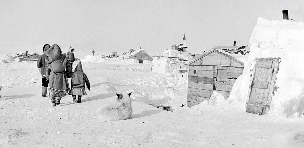 resolute bay 1956 inuit relocations