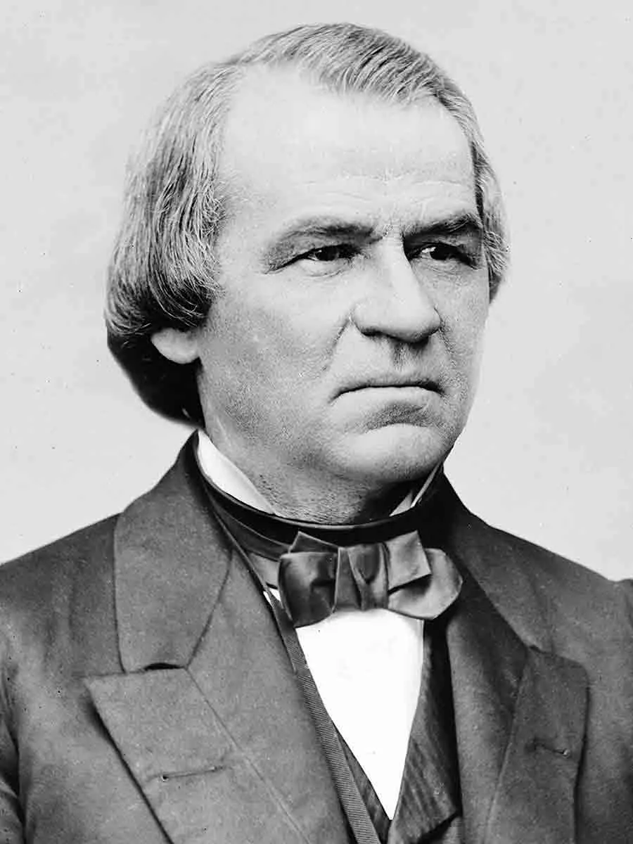 portrait andrew johnson