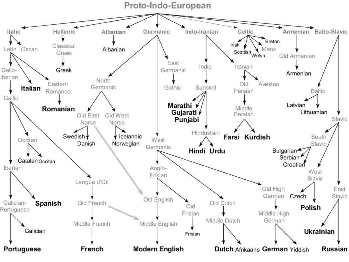 indo european language tree