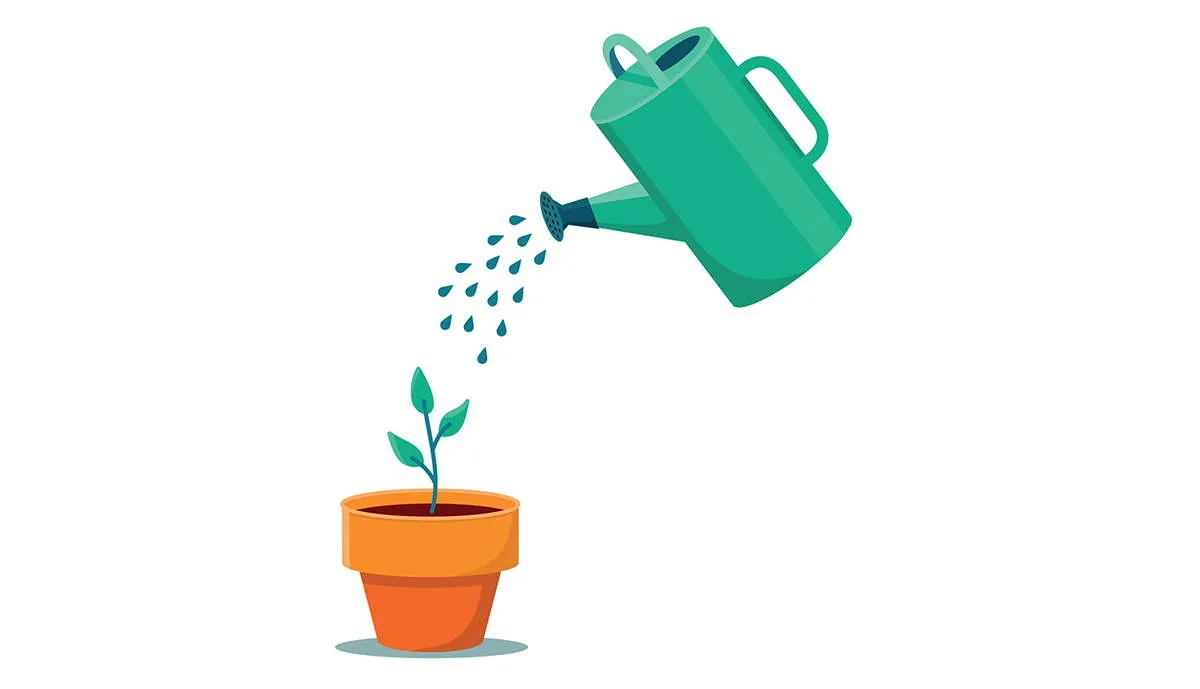 watering can plant