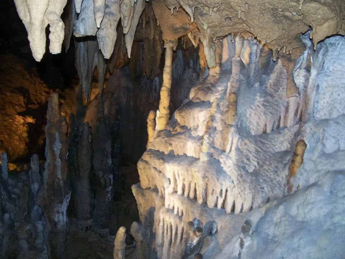 florida caverns state park marianna florida