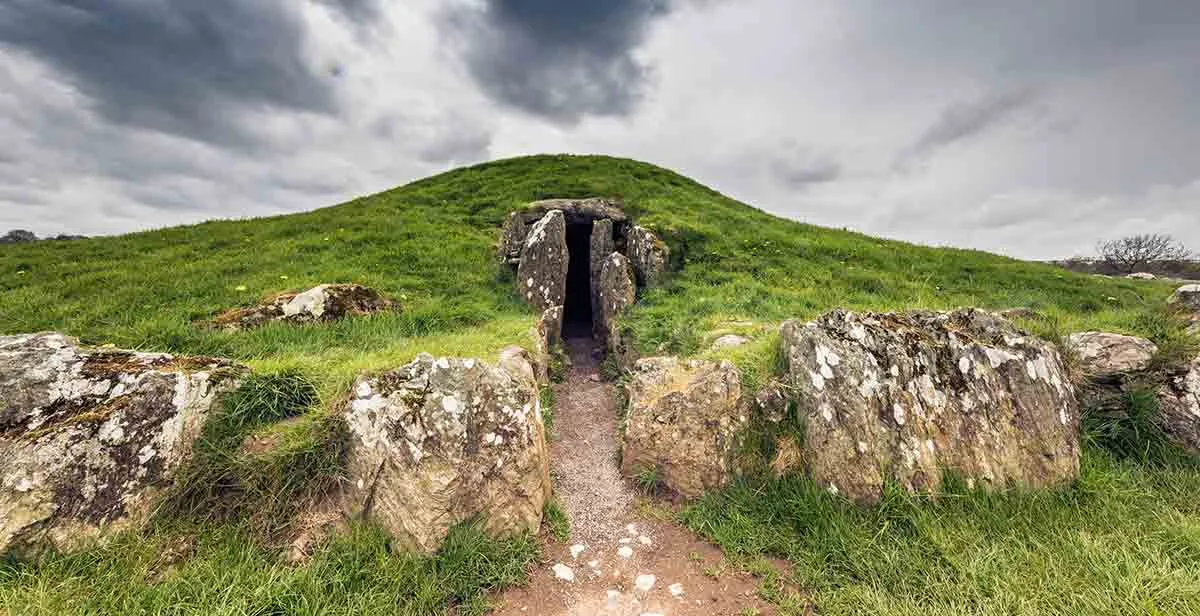 bryn ceilli ddu