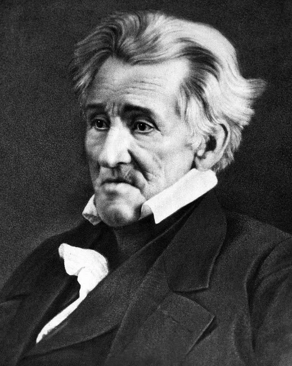 portrait andrew jackson