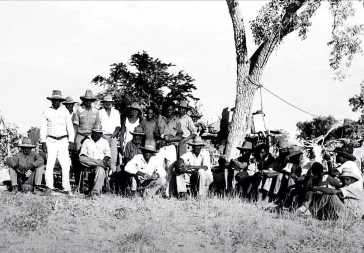 gurindji strikers photograph