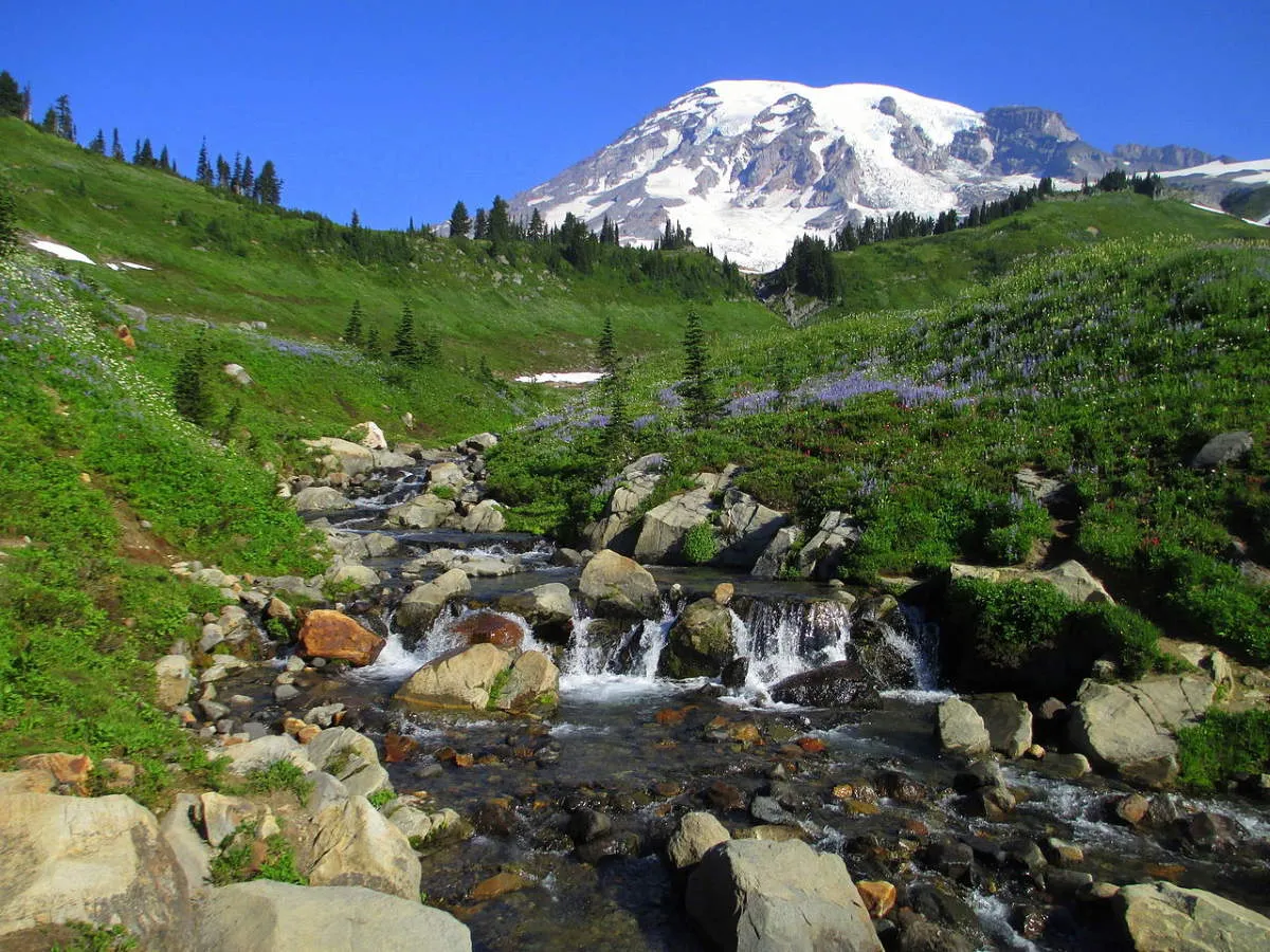 mount rainier national park