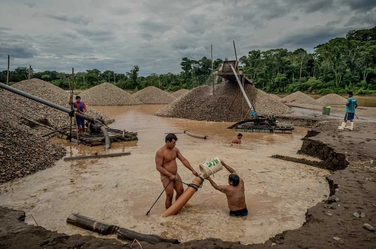 gold mining amazon