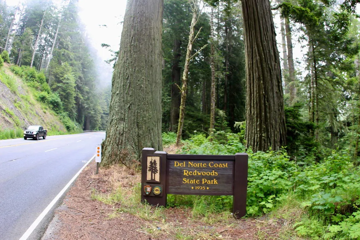 del norte coast redwoods state park