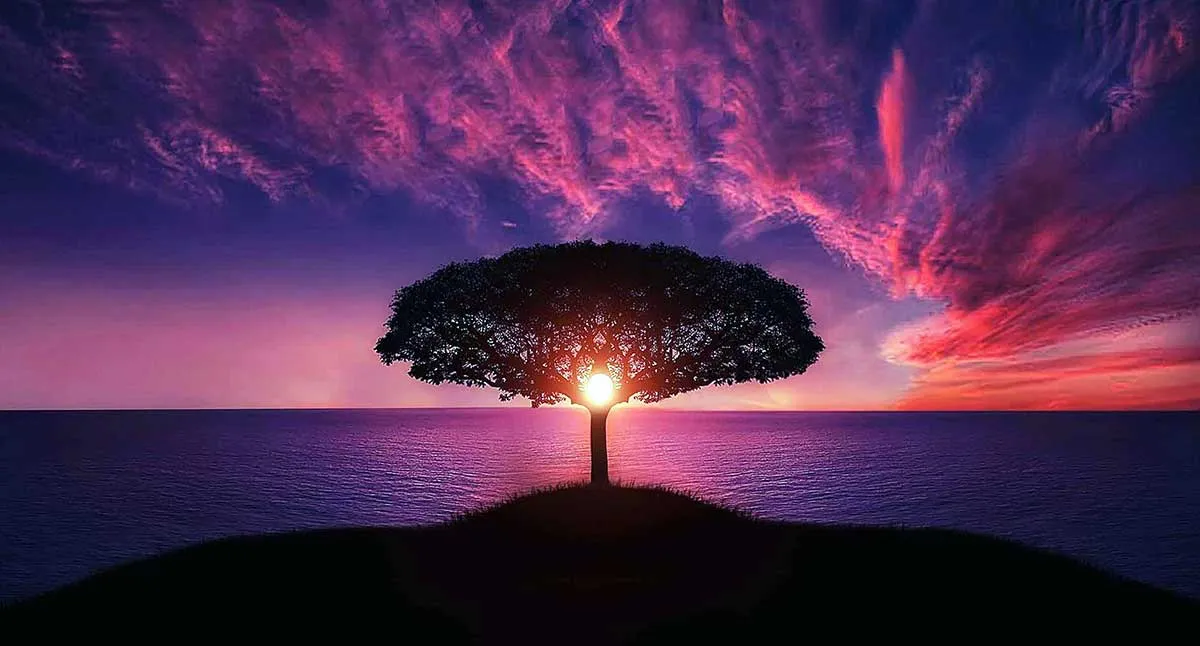 Island Tree dreamscape philosophy