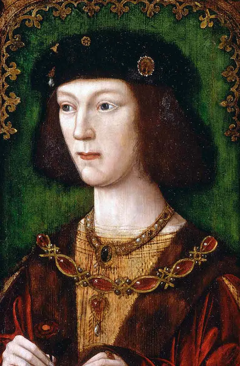 henry viii tudor