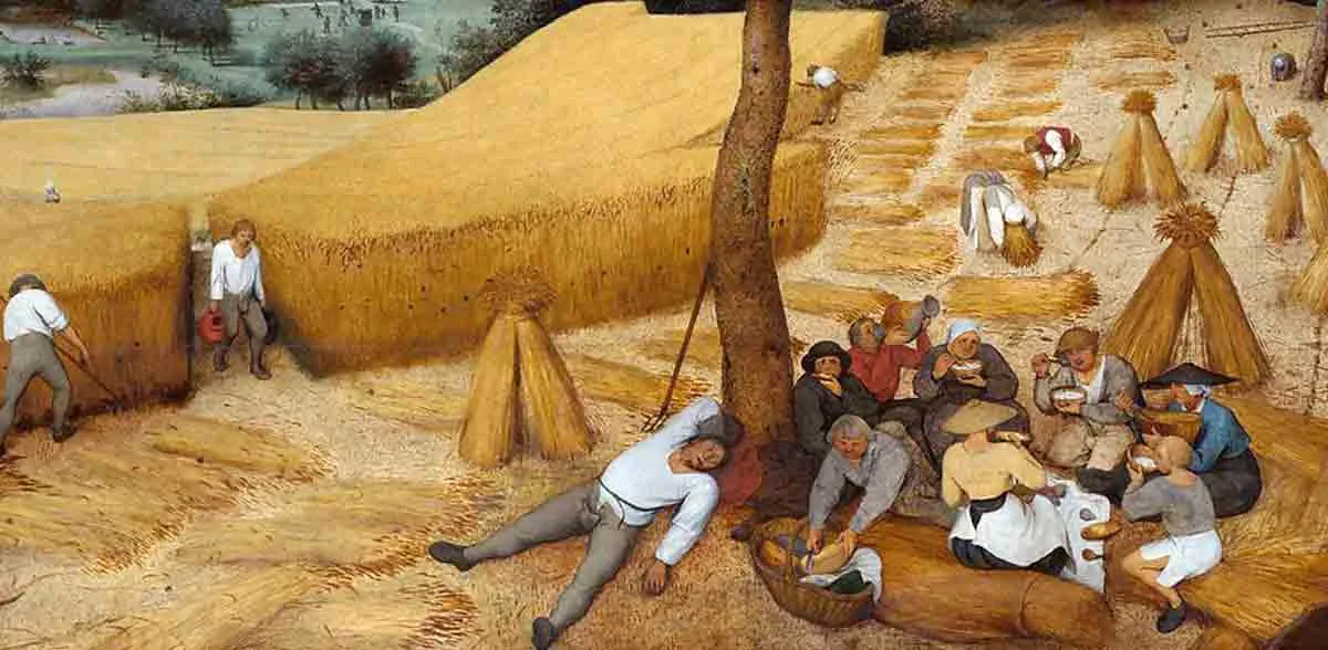 the harvester bruegel elder