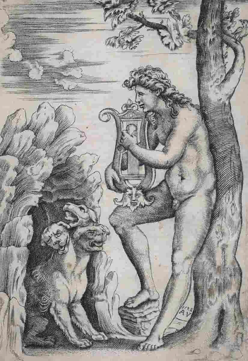 musi orpheus engraving