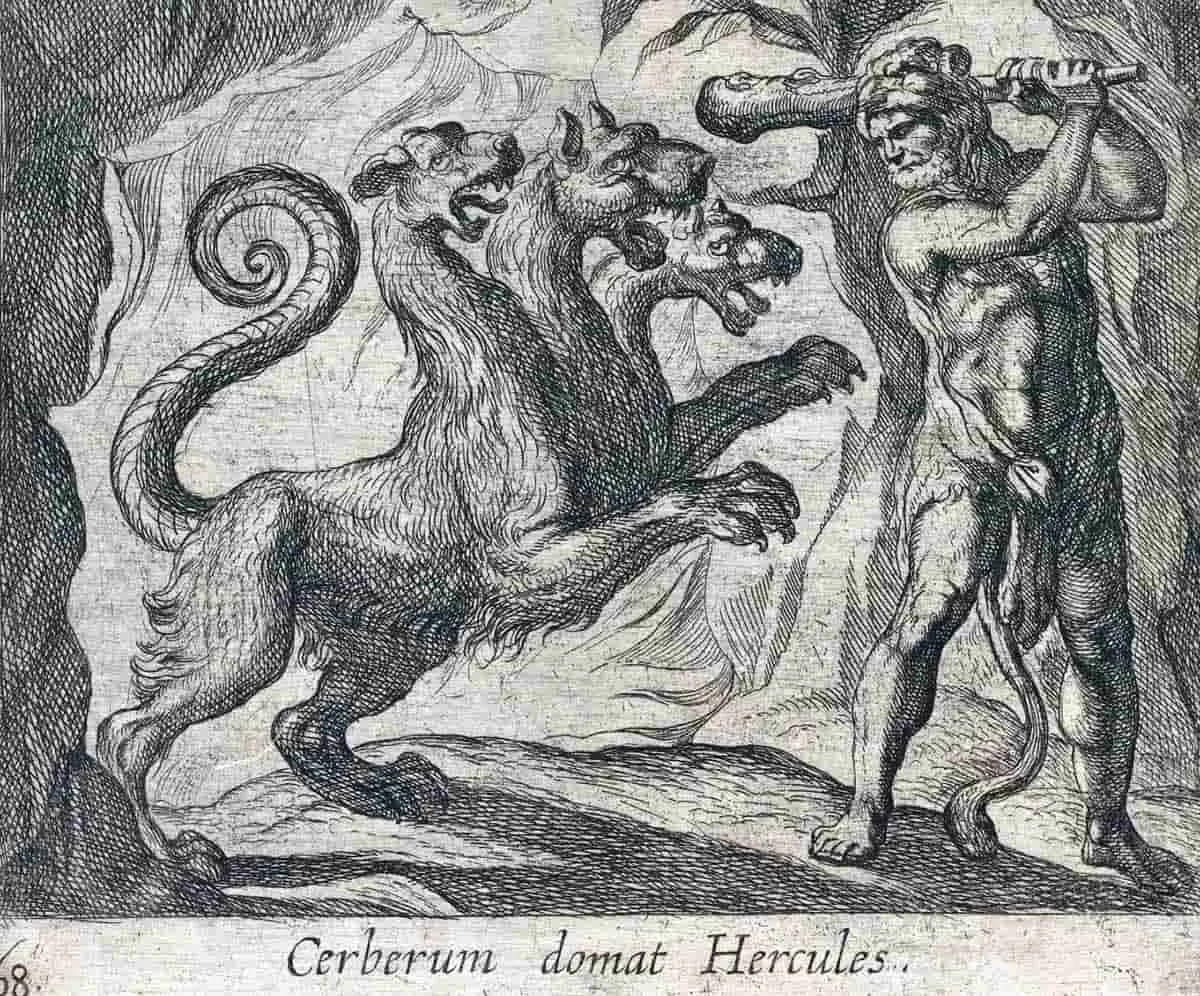 tempesta hercules cerberus engraving