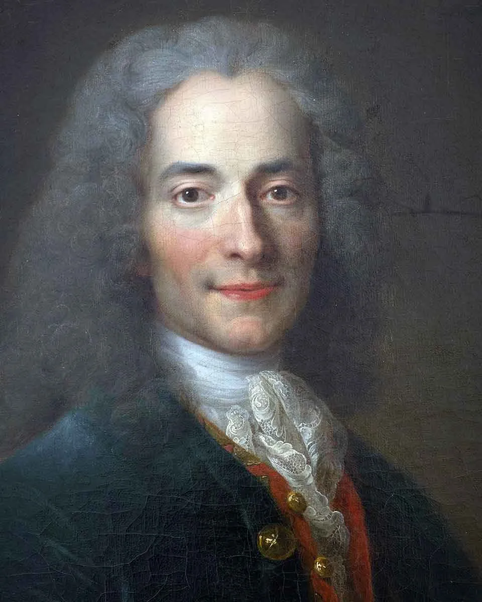 voltaire portrait(1)