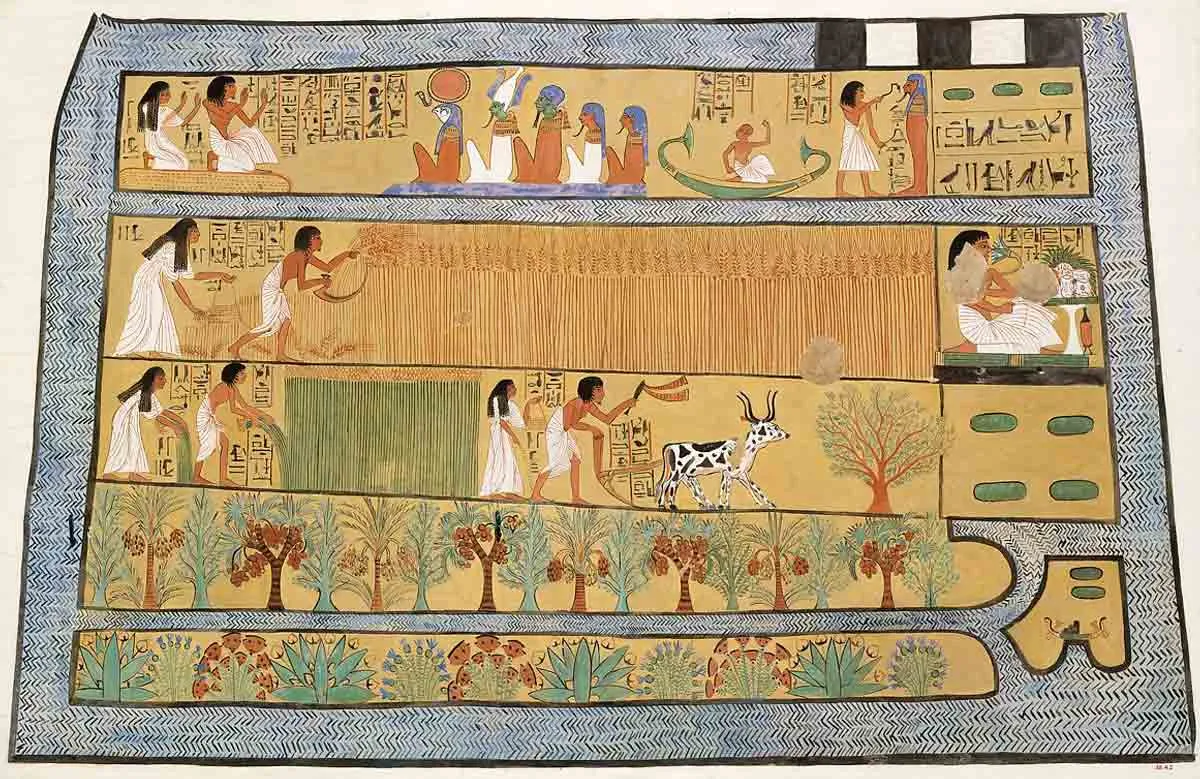 Sennedjem Field Reeds