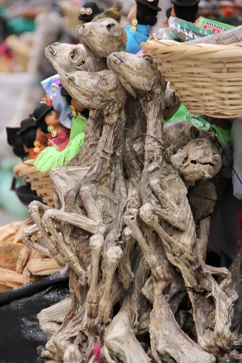 dried llama fetuses witches market la paz