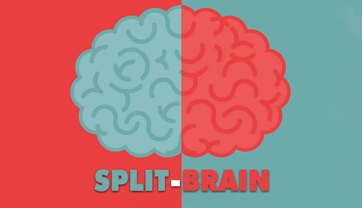 split brain two selves one