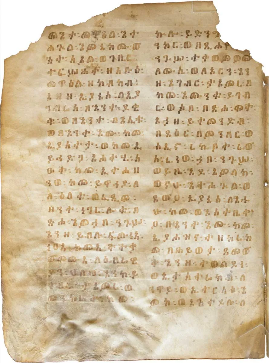 圣经中雅尼和亚米尼是谁?