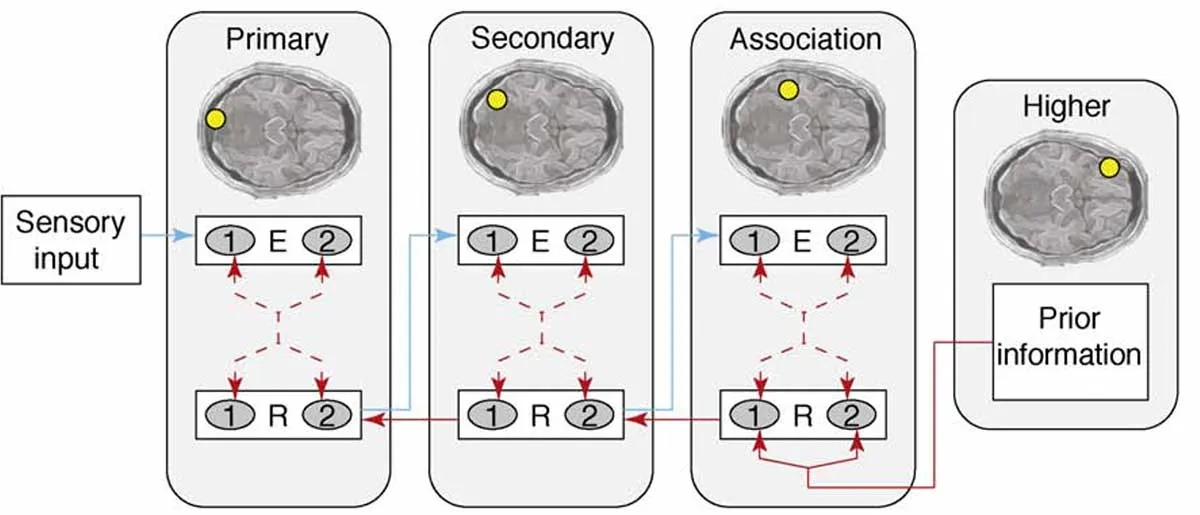预期会改变现实吗?