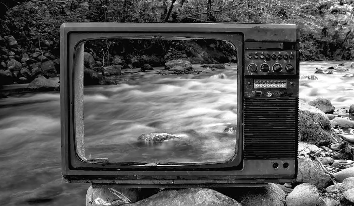 预期会改变现实吗?