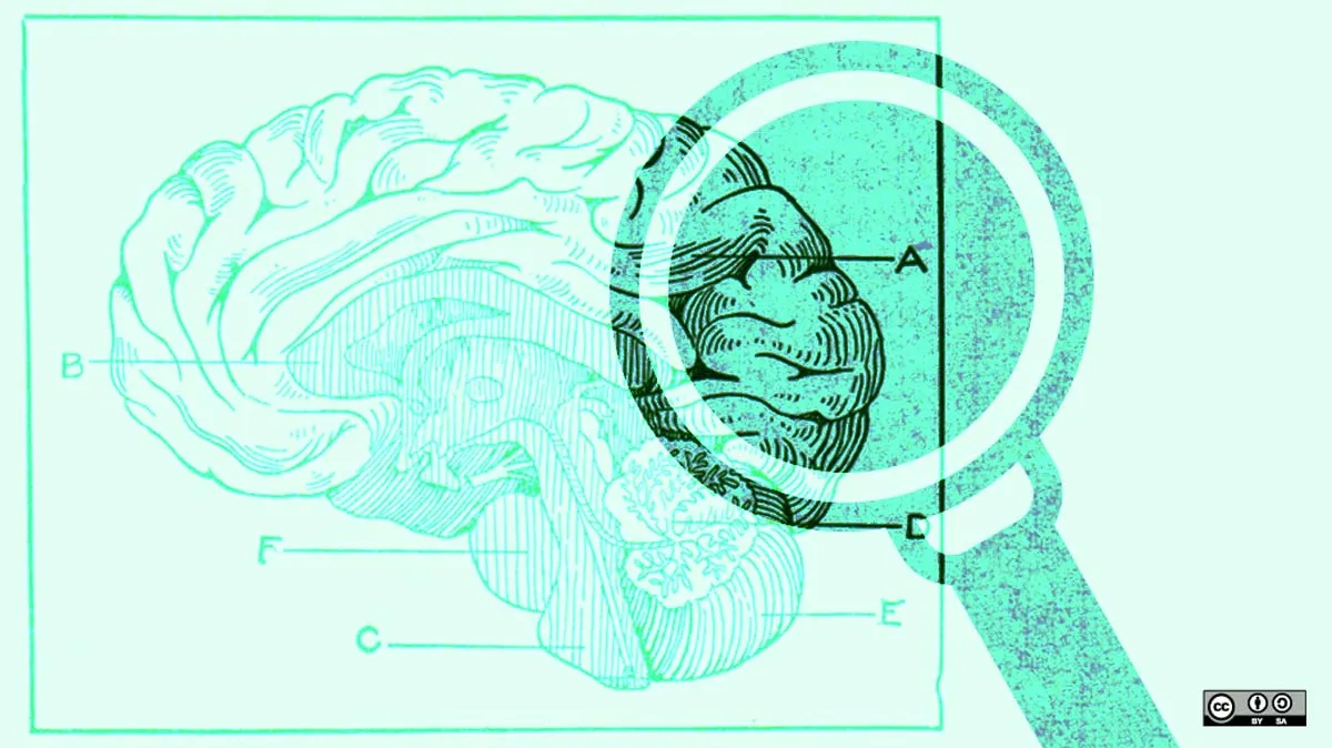 每个人都应该知道的17种逻辑谬误