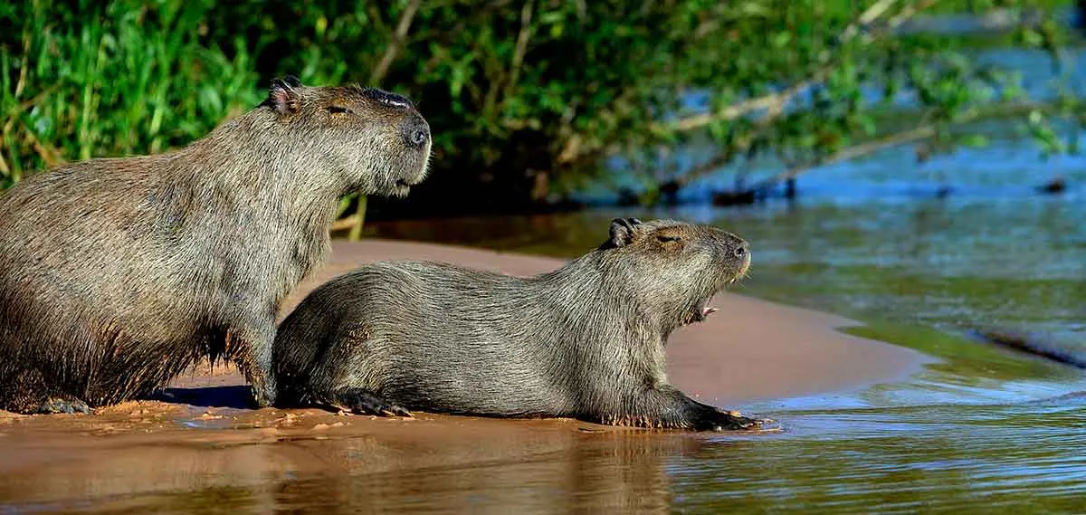 南美洲八大国家公园推荐