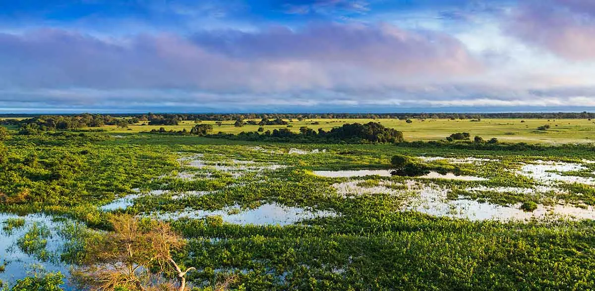 南美洲八大国家公园推荐