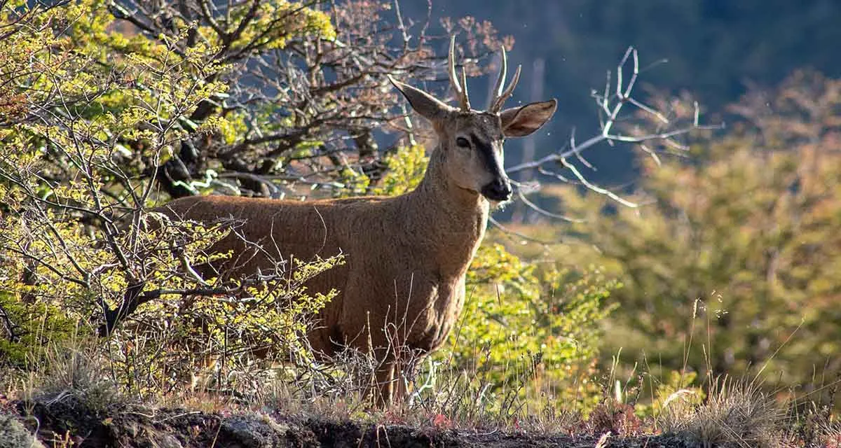 南美洲八大国家公园推荐