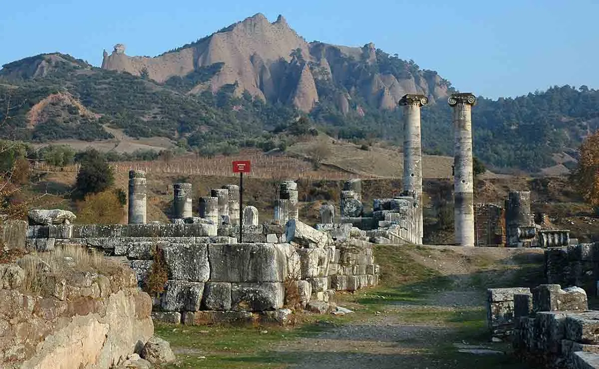 阿耳忒弥斯的神圣动物:神话中的宠物