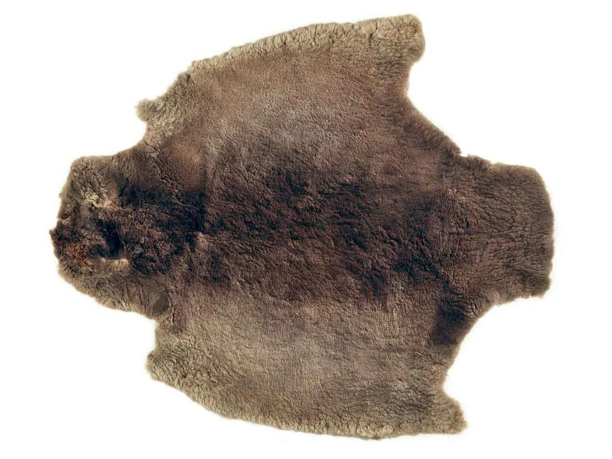 梅蒂斯人与北美野牛数量锐减的关系