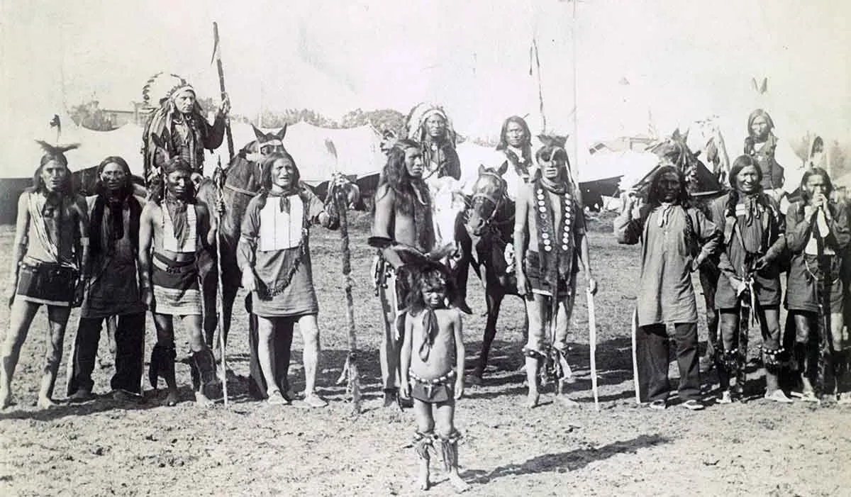 梅蒂斯人与北美野牛数量锐减的关系