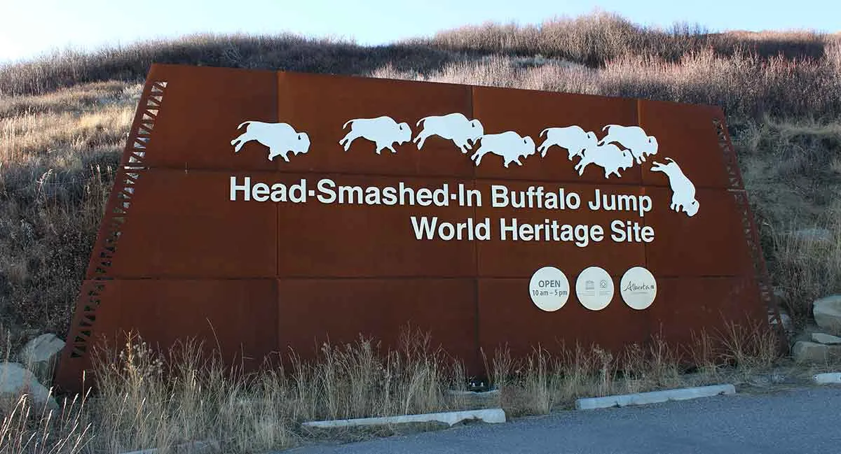 梅蒂斯人与北美野牛数量锐减的关系