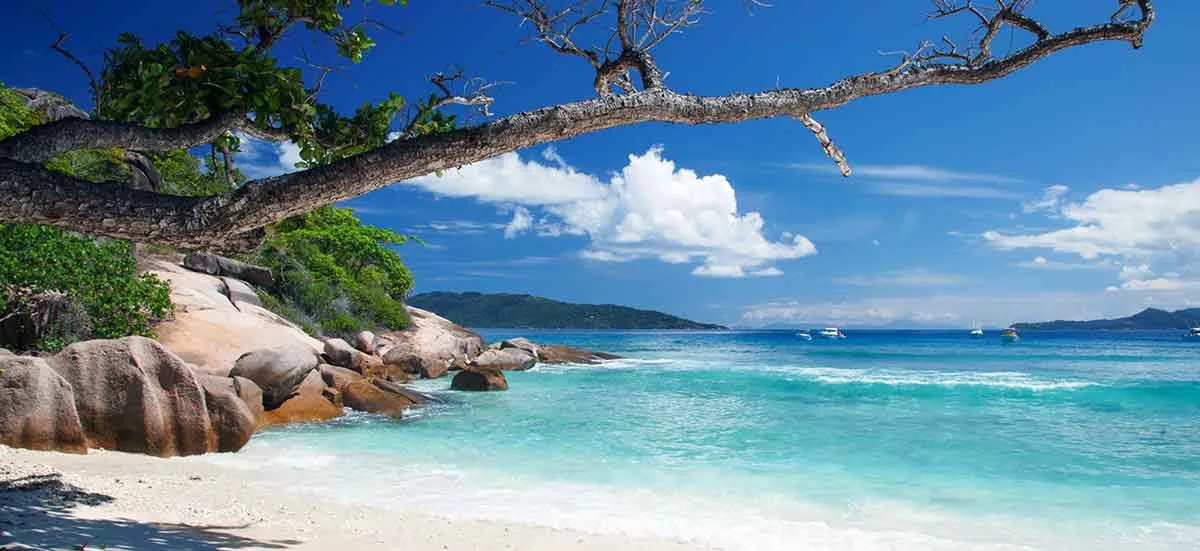 非洲最小国家是哪个?