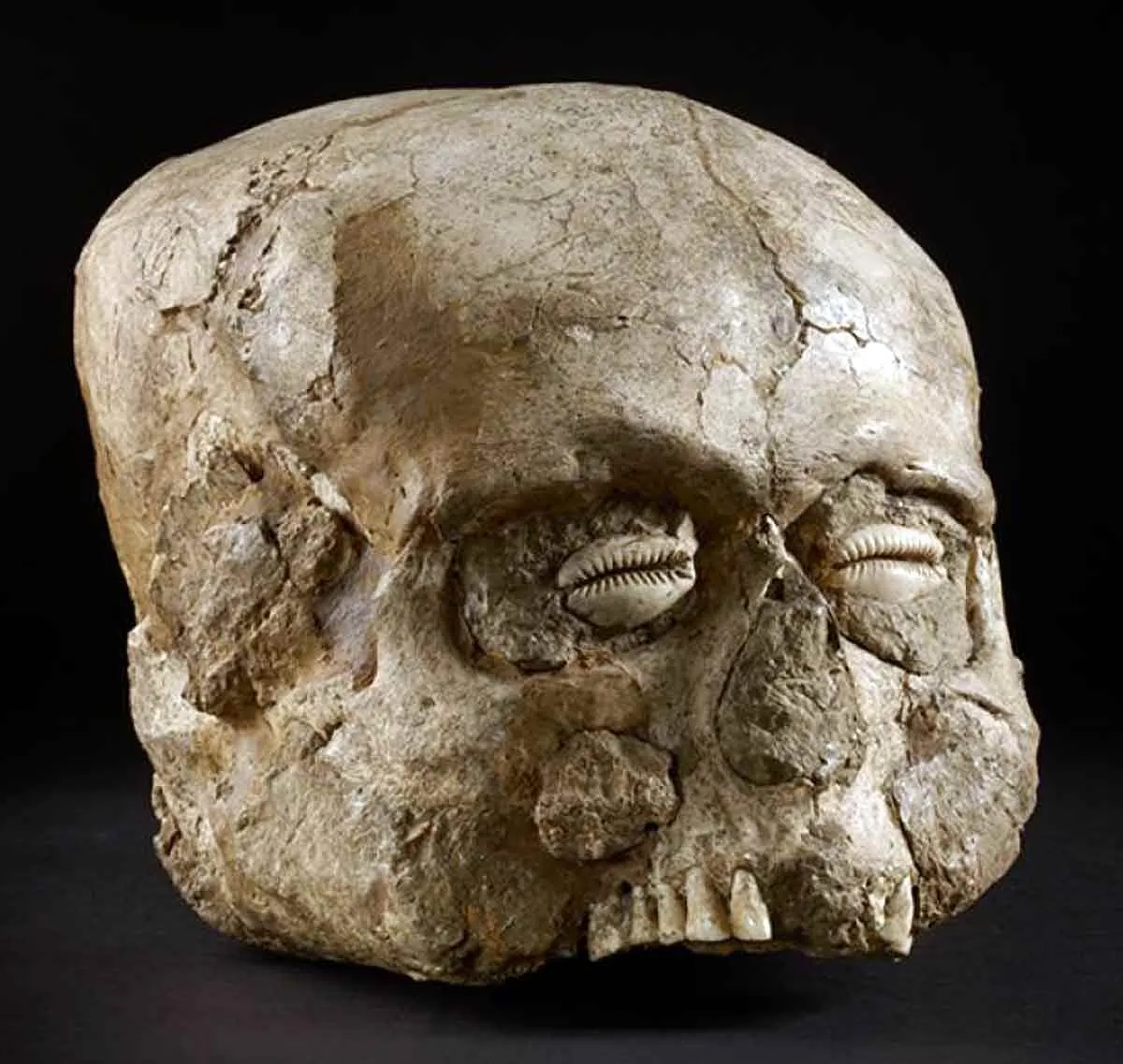 阿什莫林博物馆十大必看古代珍宝