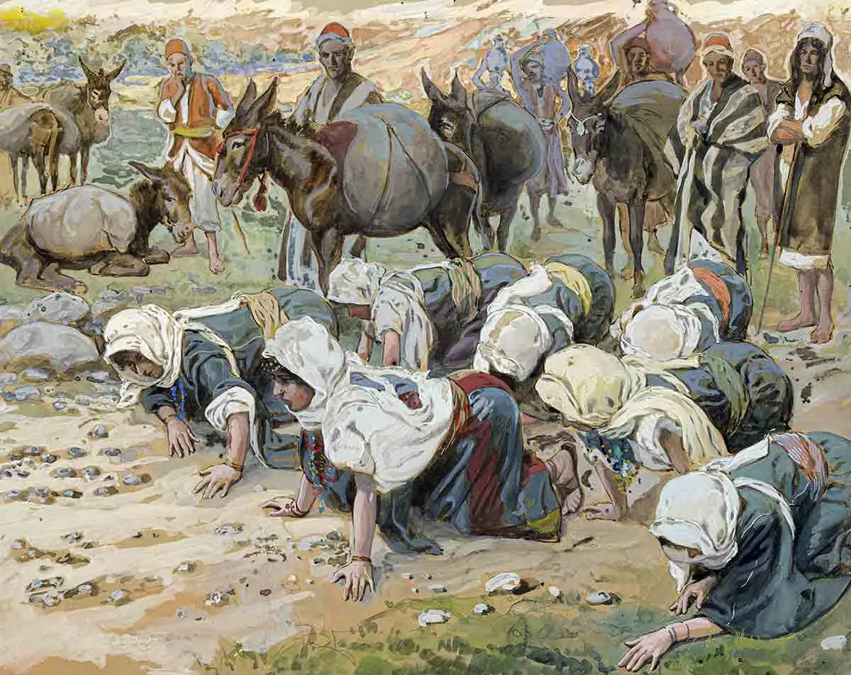 圣经对一夫多妻制有何说法？